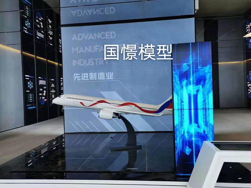 开平市飞机模型